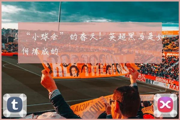 “小球会”的春天！英超黑马是如何炼成的