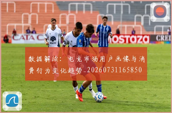 数据解读：电竞市场用户画像与消费行为变化趋势_20260731165850