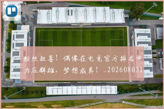 粉丝狂喜！偶像在电竞官方排名中力压群雄，梦想成真！_20260803142148